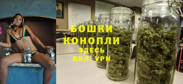 мяу мяу мука Абаза