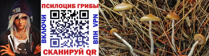 Галлюциногенные грибы Magic Shrooms Азов